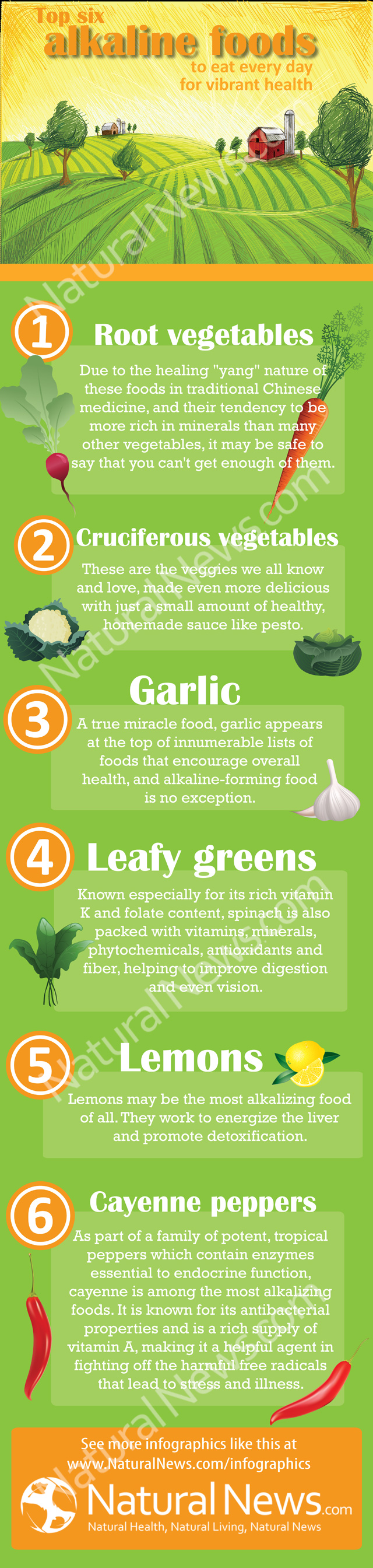 Top 6 alimentos alcalinos para una salud vibrante