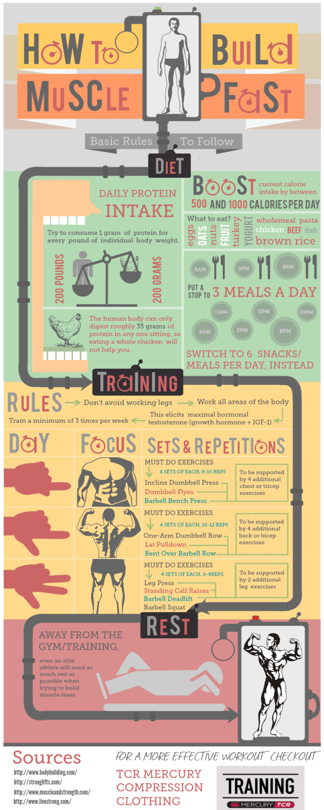 Cómo conseguir músculo rápido